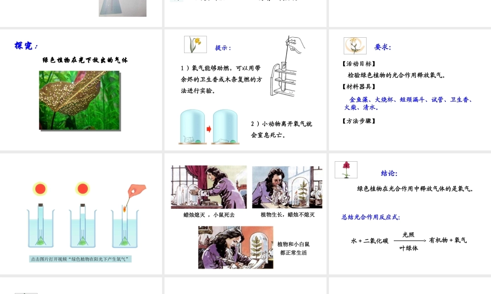 八年级生物上册 6.18.2《绿色植物与生物圈中的碳-氧平衡》课件2 （新版）苏科版-（新版）苏科级上册生物课件