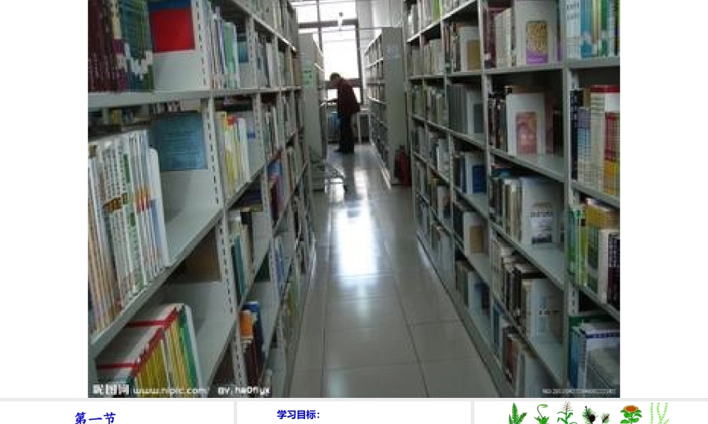 八年级生物上册 6.1.1 尝试对生物进行分类教学课件 （新版）新人教版-（新版）新人教版初中八年级上册生物课件