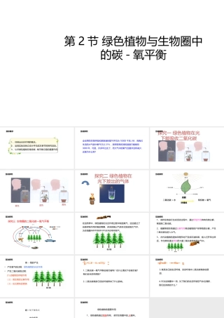 八年级生物上册 6.18.2绿色植物与生物圈中的碳-氧平衡课件 （新版）苏科版-（新版）苏科版初中八年级上册生物课件