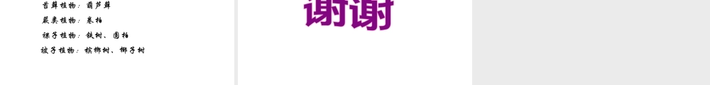 八年级生物上册 6.1.1 尝试对生物进行分类教学课件 （新版）新人教版-（新版）新人教级上册生物课件