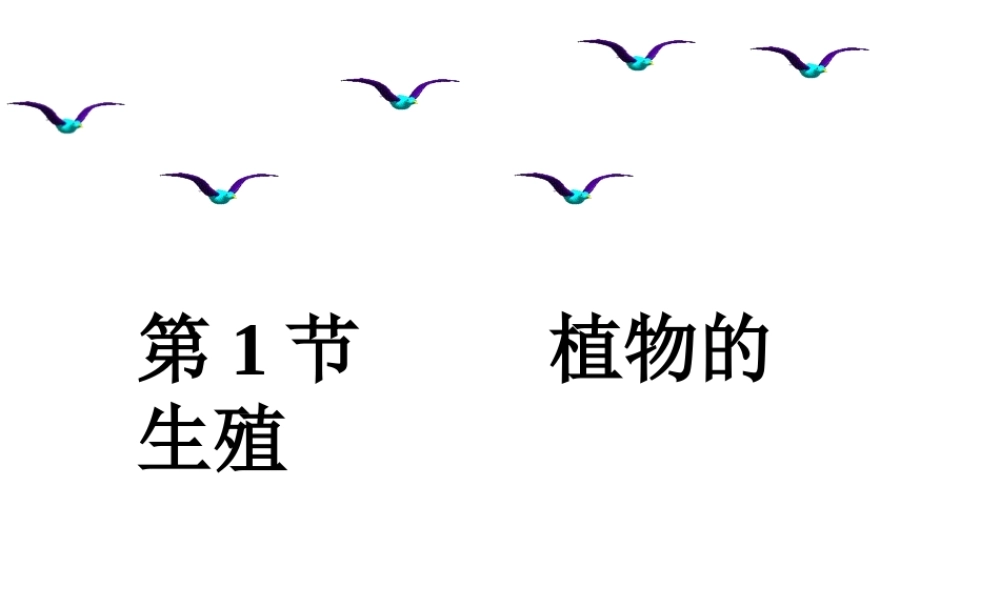 八年级生物上册 7.19.1《植物的生殖》课件2 （新版）苏科版-（新版）苏科版初中八年级上册生物课件