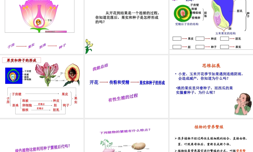 八年级生物上册 7.19.1《植物的生殖》课件2 （新版）苏科版-（新版）苏科版初中八年级上册生物课件