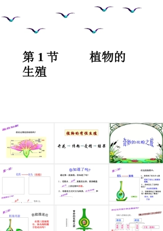 八年级生物上册 7.19.1《植物的生殖》课件2 （新版）苏科版-（新版）苏科版初中八年级上册生物课件