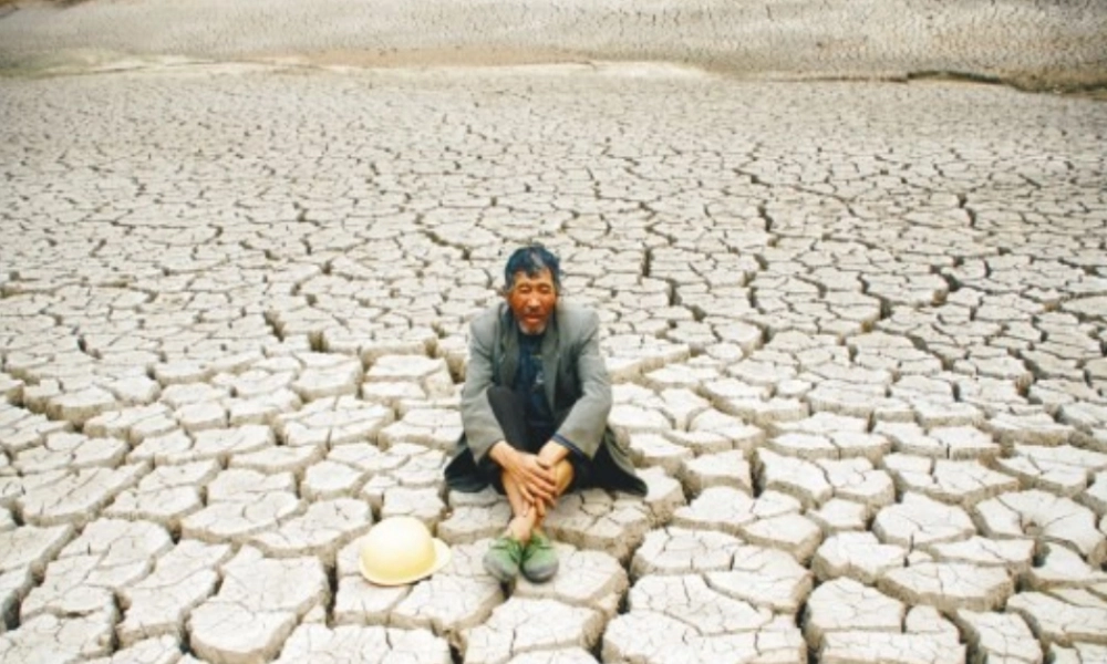 八年级生物上册 第3单元 第2章 第2节 根对水分的吸收课件 （新版）冀教版-（新版）冀教级上册生物课件