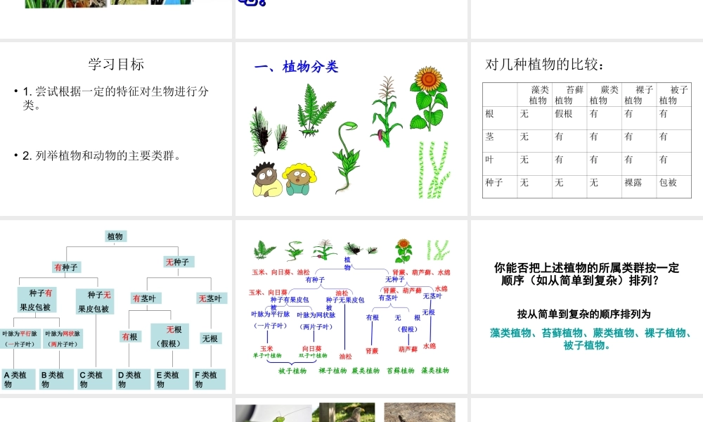 八年级生物上册 6.1.1 尝试对生物进行分类课件 （新版）新人教版-（新版）新人教版初中八年级上册生物课件