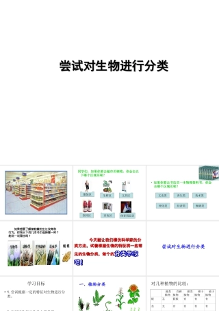 八年级生物上册 6.1.1 尝试对生物进行分类课件 （新版）新人教版-（新版）新人教版初中八年级上册生物课件