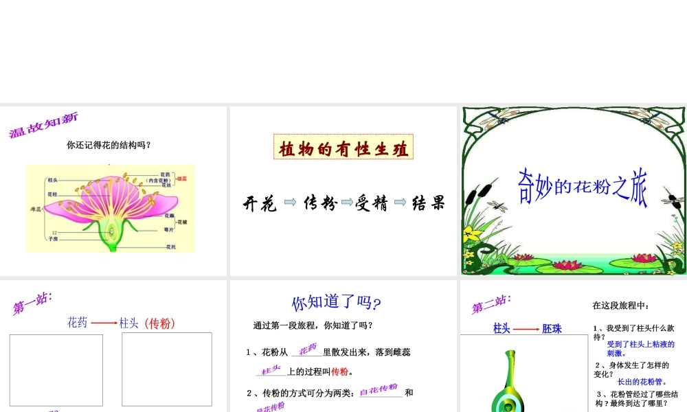 八年级生物上册 7.19.1《植物的生殖》课件2 （新版）苏科版-（新版）苏科级上册生物课件