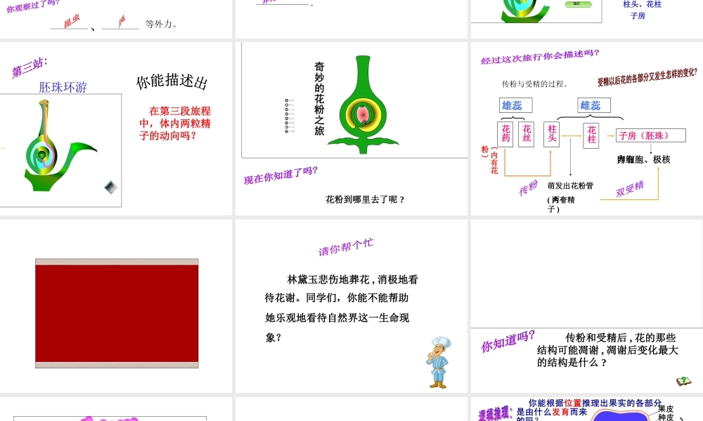 八年级生物上册 7.19.1《植物的生殖》课件2 （新版）苏科版-（新版）苏科级上册生物课件
