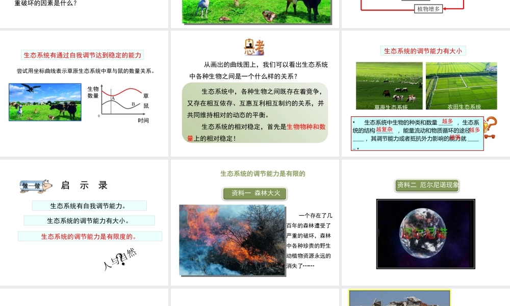 八年级生物上册 6.18.3《生态系统的自我调节》课件1 （新版）苏科版-（新版）苏科版初中八年级上册生物课件