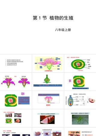 八年级生物上册 7.19.1植物的生殖课件 （新版）苏科版-（新版）苏科版初中八年级上册生物课件