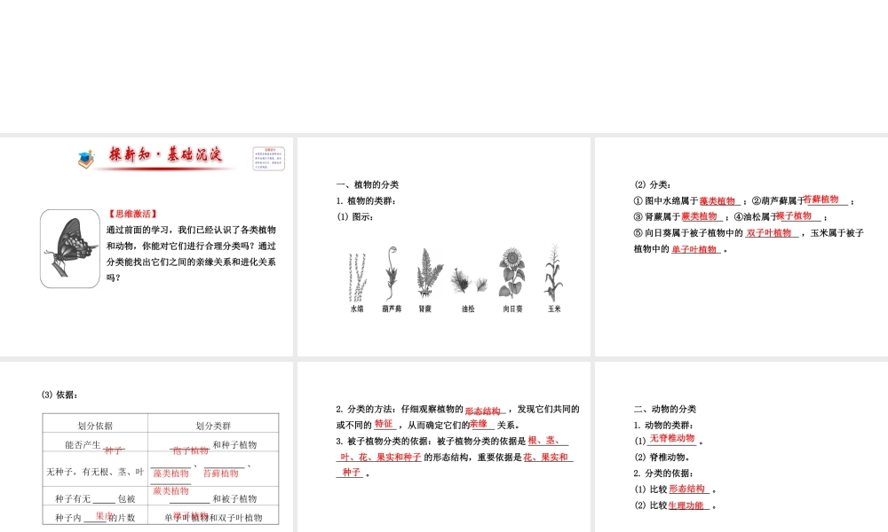 八年级生物上册 6.1.1 尝试对生物进行分类课件 （新版）新人教版