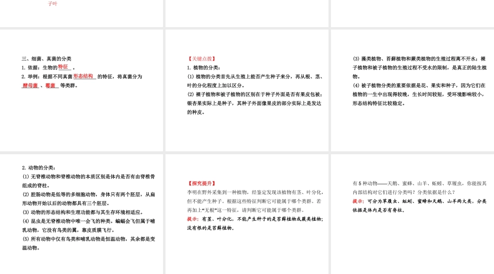 八年级生物上册 6.1.1 尝试对生物进行分类课件 （新版）新人教版