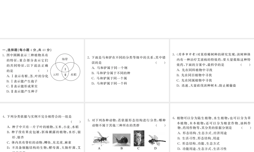 八年级生物上册 期末复习两周通 第六单元 生物的多样性及其保护过关自测试习题课件 （新版）新人教版-（新版）新人教版初中八年级上册生物课件