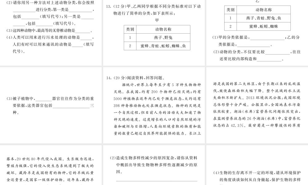 八年级生物上册 期末复习两周通 第六单元 生物的多样性及其保护过关自测试习题课件 （新版）新人教版-（新版）新人教版初中八年级上册生物课件