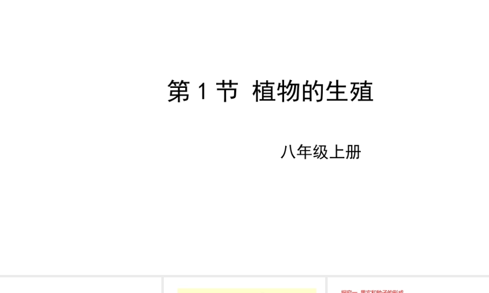 八年级生物上册 7.19.1植物的生殖课件 （新版）苏科版-（新版）苏科级上册生物课件