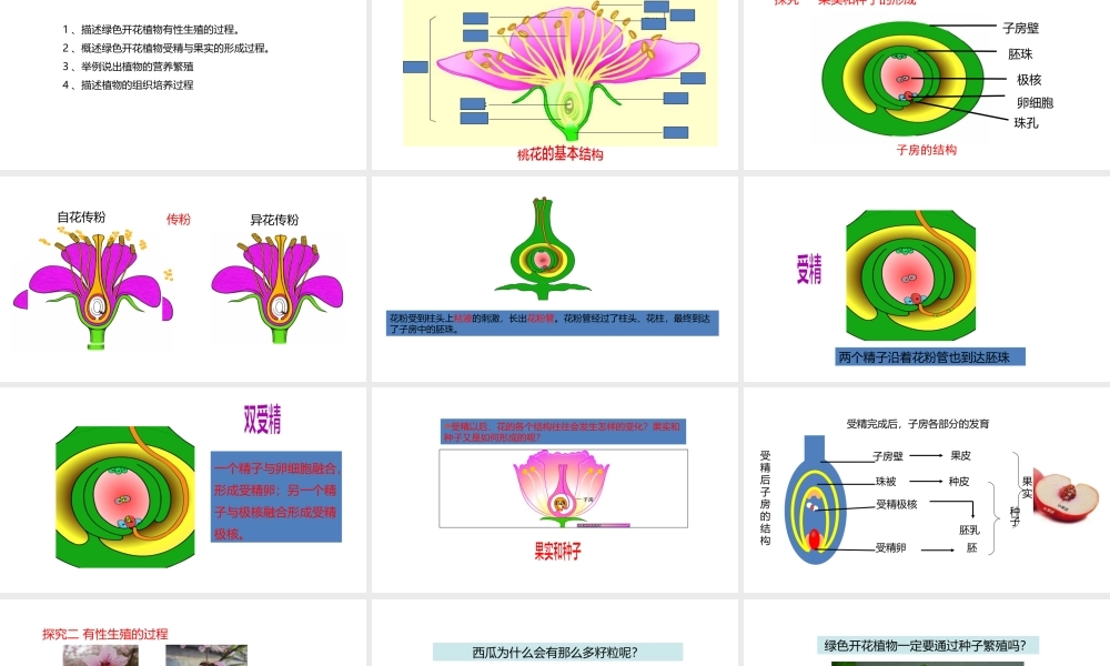 八年级生物上册 7.19.1植物的生殖课件 （新版）苏科版-（新版）苏科级上册生物课件