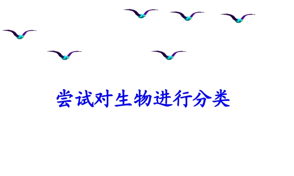 八年级生物上册 6.1.1 尝试对生物进行分类课件1 （新版）新人教版