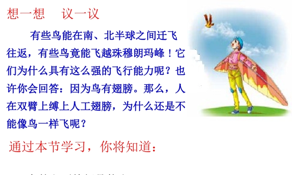 八年级生物上册 5.1.6《鸟》课件3 （新版）新人教版-（新版）新人教版初中八年级上册生物课件