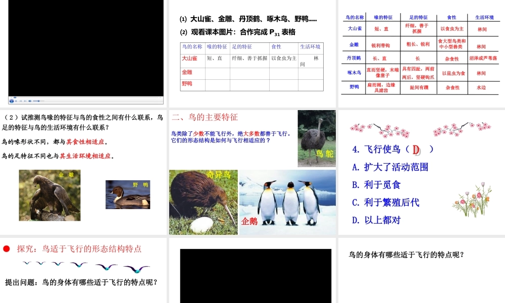 八年级生物上册 5.1.6《鸟》课件3 （新版）新人教版-（新版）新人教版初中八年级上册生物课件