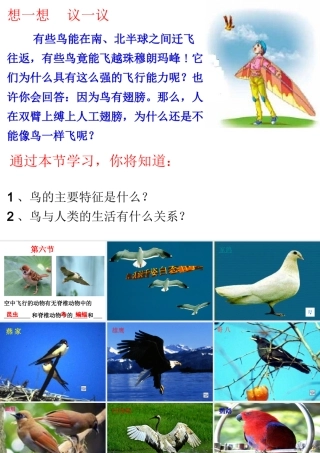 八年级生物上册 5.1.6《鸟》课件3 （新版）新人教版-（新版）新人教版初中八年级上册生物课件