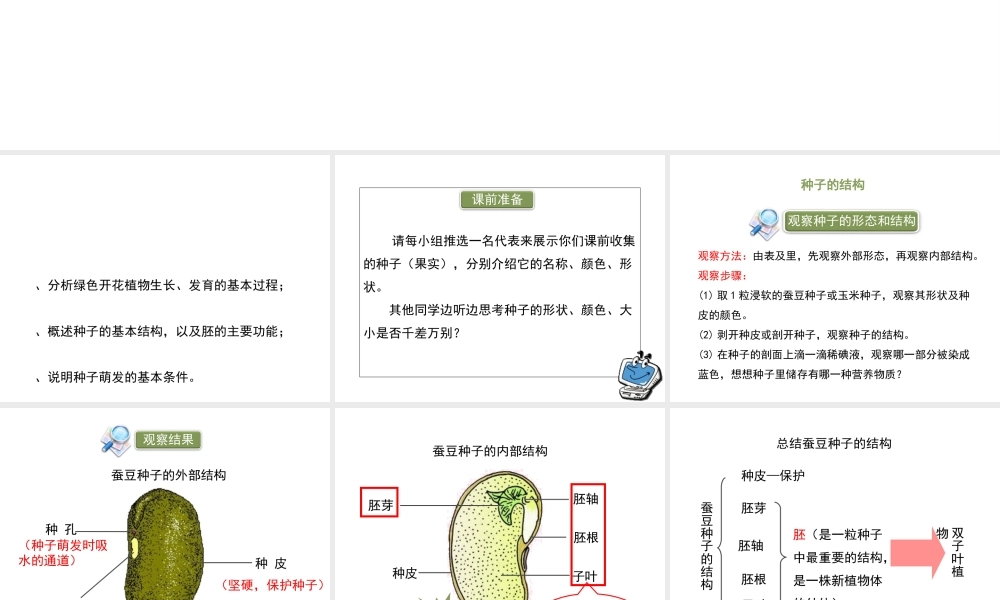 八年级生物上册 7.19.2《植物的生长发育》第1课时课件 （新版）苏科版-（新版）苏科版初中八年级上册生物课件