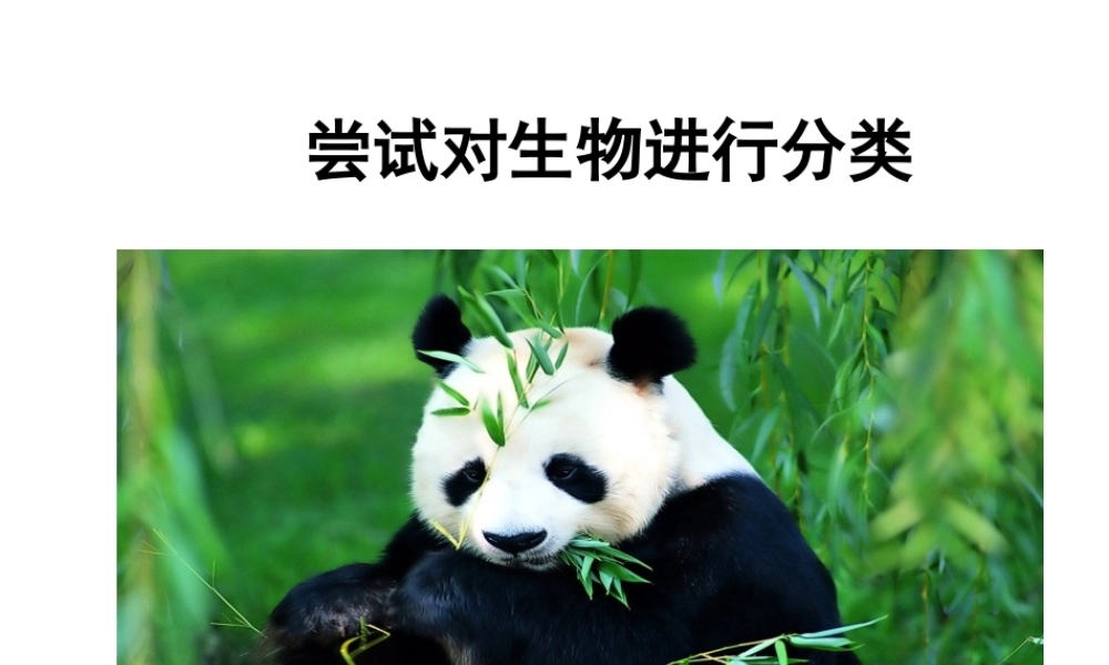 八年级生物上册 6.1.1 尝试对生物进行分类课件2 （新版）新人教版