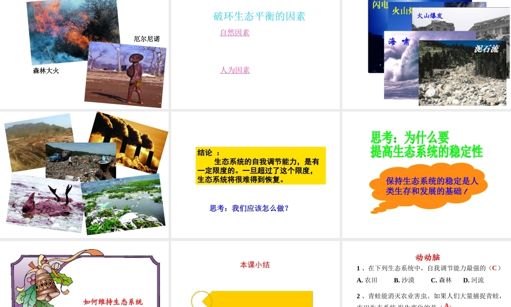 八年级生物上册 6.18.3《生态系统的自我调节》课件2 （新版）苏科版-（新版）苏科版初中八年级上册生物课件