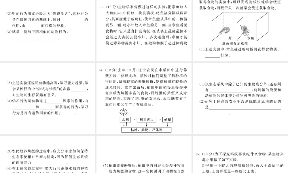 八年级生物上册 期末复习两周通 第五单元 第二 三章过关自测试习题课件 （新版）新人教版-（新版）新人教版初中八年级上册生物课件