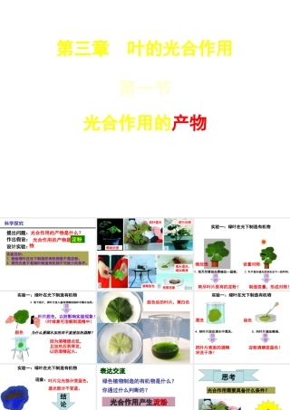 八年级生物上册 第3单元 第3章 第1节 光合作用的产物课件 （新版）冀教版-（新版）冀教版初中八年级上册生物课件