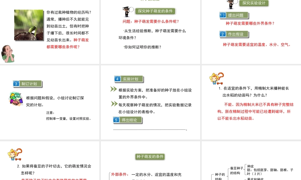 八年级生物上册 7.19.2《植物的生长发育》第1课时课件 （新版）苏科版-（新版）苏科级上册生物课件