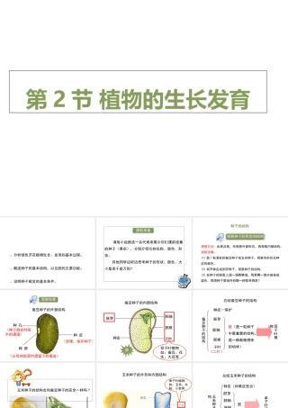 八年级生物上册 7.19.2《植物的生长发育》第1课时课件 （新版）苏科版-（新版）苏科级上册生物课件