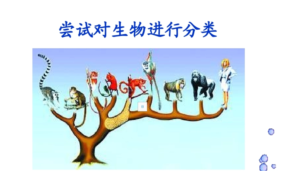 八年级生物上册 6.1.1 尝试对生物进行分类课件3 （新版）新人教版