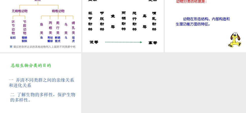 八年级生物上册 6.1.1 尝试对生物进行分类课件3 （新版）新人教版