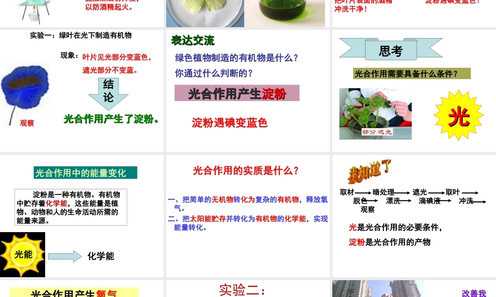 八年级生物上册 第3单元 第3章 第1节 光合作用的产物课件 （新版）冀教版-（新版）冀教级上册生物课件