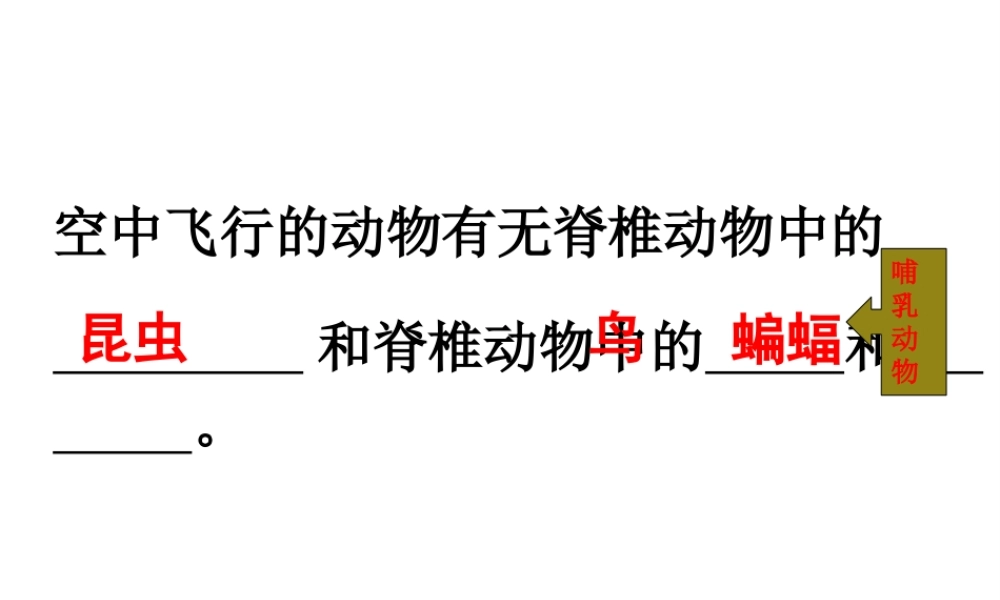 八年级生物上册 5.1.6《鸟》课件4 （新版）新人教版-（新版）新人教版初中八年级上册生物课件
