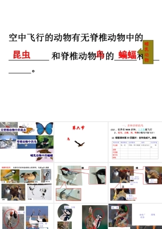 八年级生物上册 5.1.6《鸟》课件4 （新版）新人教版-（新版）新人教版初中八年级上册生物课件