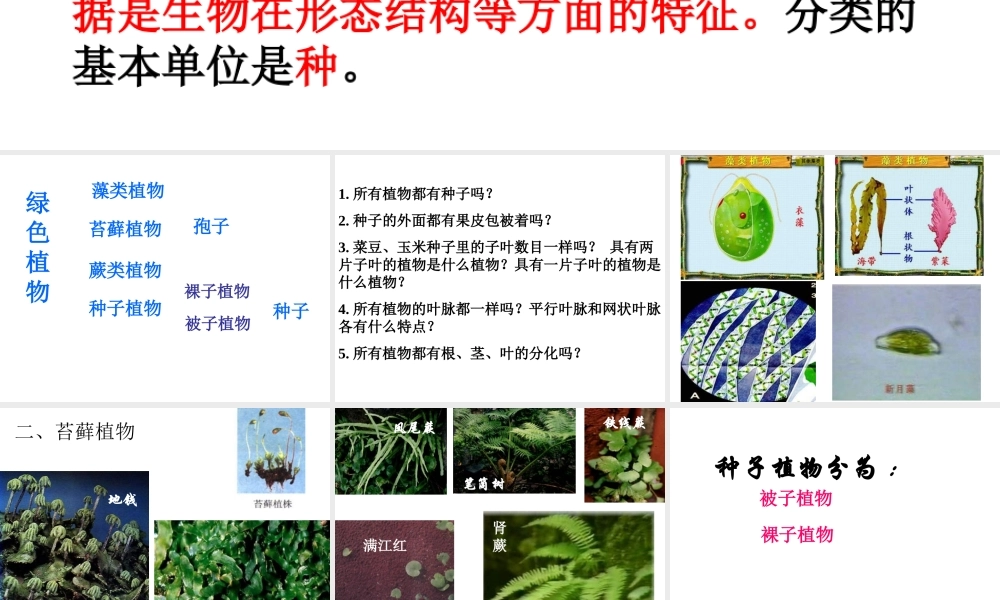 八年级生物上册 6.1.1 尝试对生物进行分类课件4 （新版）新人教版