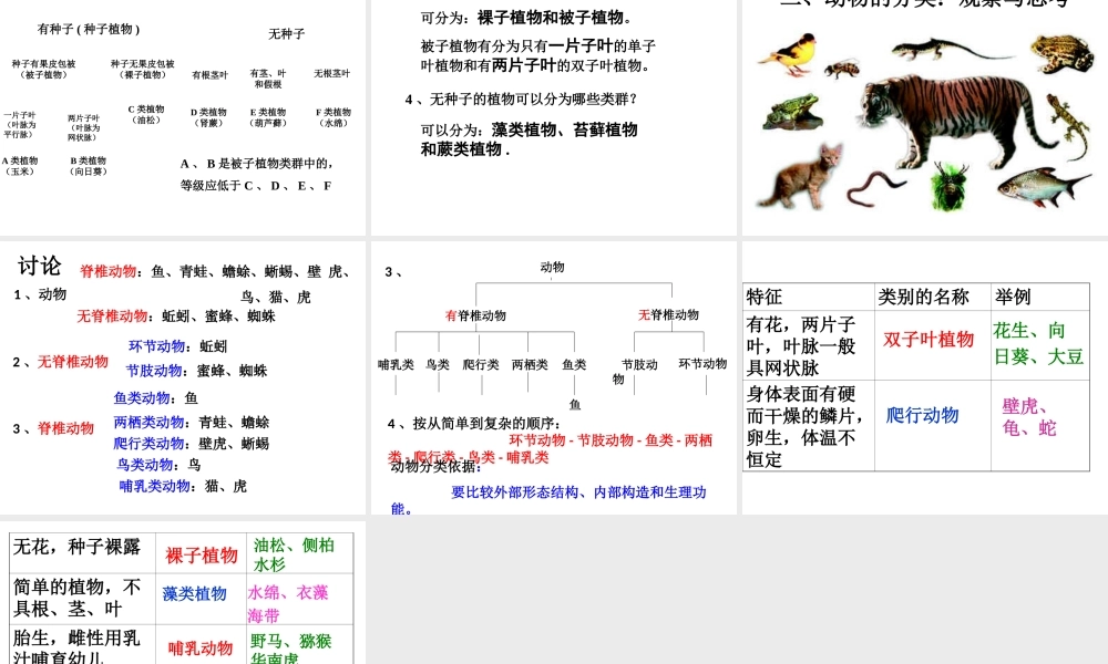 八年级生物上册 6.1.1 尝试对生物进行分类课件4 （新版）新人教版