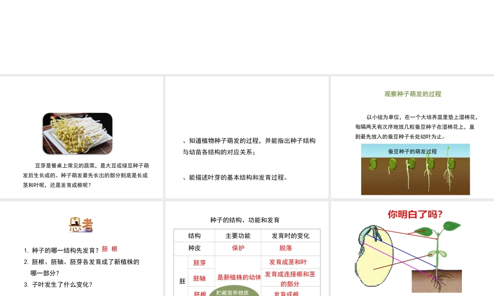 八年级生物上册 7.19.2《植物的生长发育》第2课时课件 （新版）苏科版-（新版）苏科版初中八年级上册生物课件