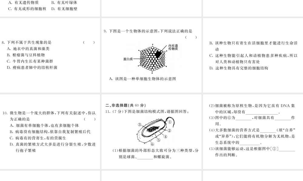 八年级生物上册 期末复习两周通 第五单元 第四 五章过关自测试习题课件 （新版）新人教版-（新版）新人教版初中八年级上册生物课件