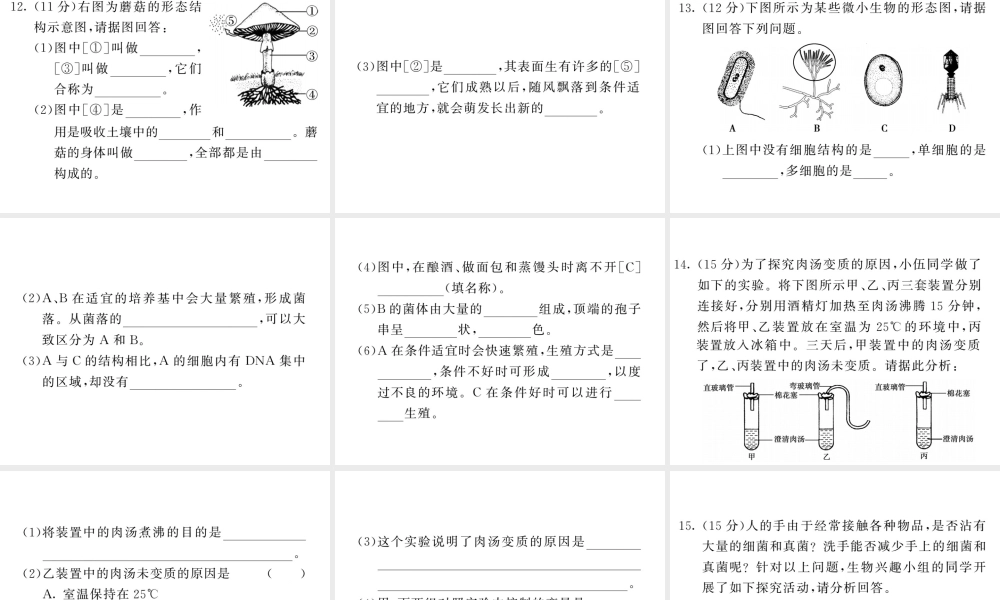 八年级生物上册 期末复习两周通 第五单元 第四 五章过关自测试习题课件 （新版）新人教版-（新版）新人教版初中八年级上册生物课件