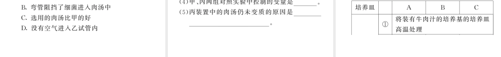 八年级生物上册 期末复习两周通 第五单元 第四 五章过关自测试习题课件 （新版）新人教版-（新版）新人教版初中八年级上册生物课件
