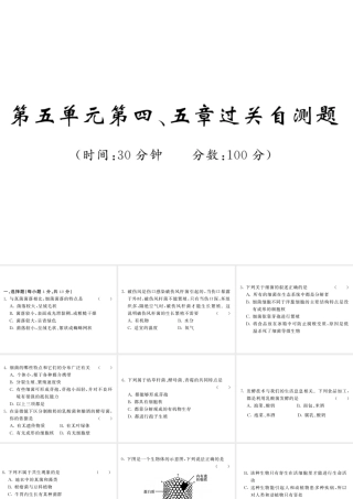八年级生物上册 期末复习两周通 第五单元 第四 五章过关自测试习题课件 （新版）新人教版-（新版）新人教版初中八年级上册生物课件