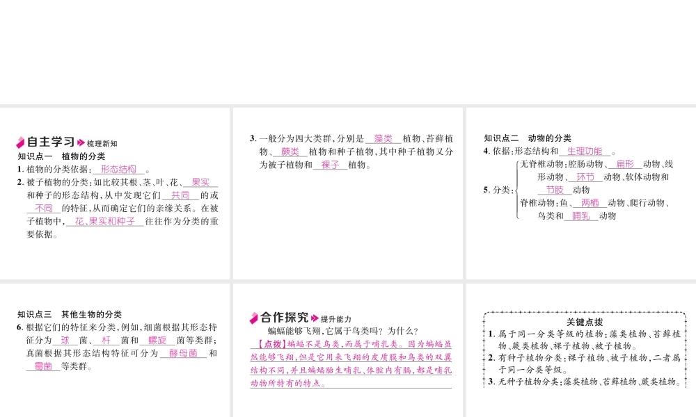 八年级生物上册 6.1.1 尝试对生物进行分类作业课件 （新版）新人教版-（新版）新人教版初中八年级上册生物课件