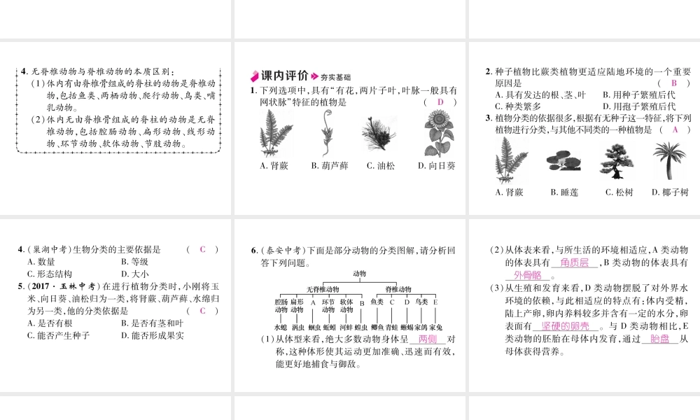 八年级生物上册 6.1.1 尝试对生物进行分类作业课件 （新版）新人教版-（新版）新人教版初中八年级上册生物课件