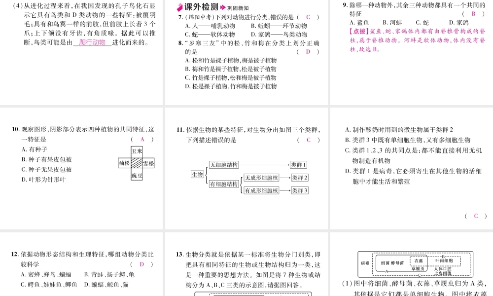 八年级生物上册 6.1.1 尝试对生物进行分类作业课件 （新版）新人教版-（新版）新人教版初中八年级上册生物课件