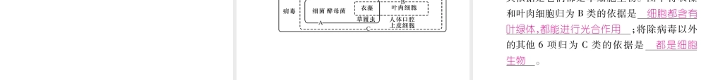 八年级生物上册 6.1.1 尝试对生物进行分类作业课件 （新版）新人教版-（新版）新人教版初中八年级上册生物课件