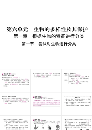 八年级生物上册 6.1.1 尝试对生物进行分类作业课件 （新版）新人教版-（新版）新人教版初中八年级上册生物课件