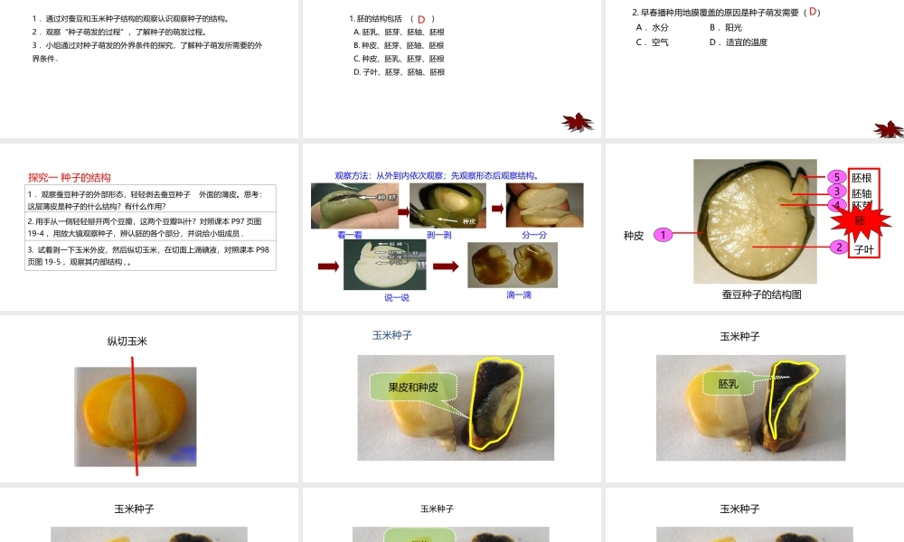 八年级生物上册 7.19.2植物的生长发育课件 （新版）苏科版-（新版）苏科版初中八年级上册生物课件