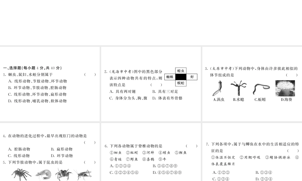 八年级生物上册 期末复习两周通 第五单元 第一章 动物的主要类群过关自测试习题课件 （新版）新人教版-（新版）新人教版初中八年级上册生物课件